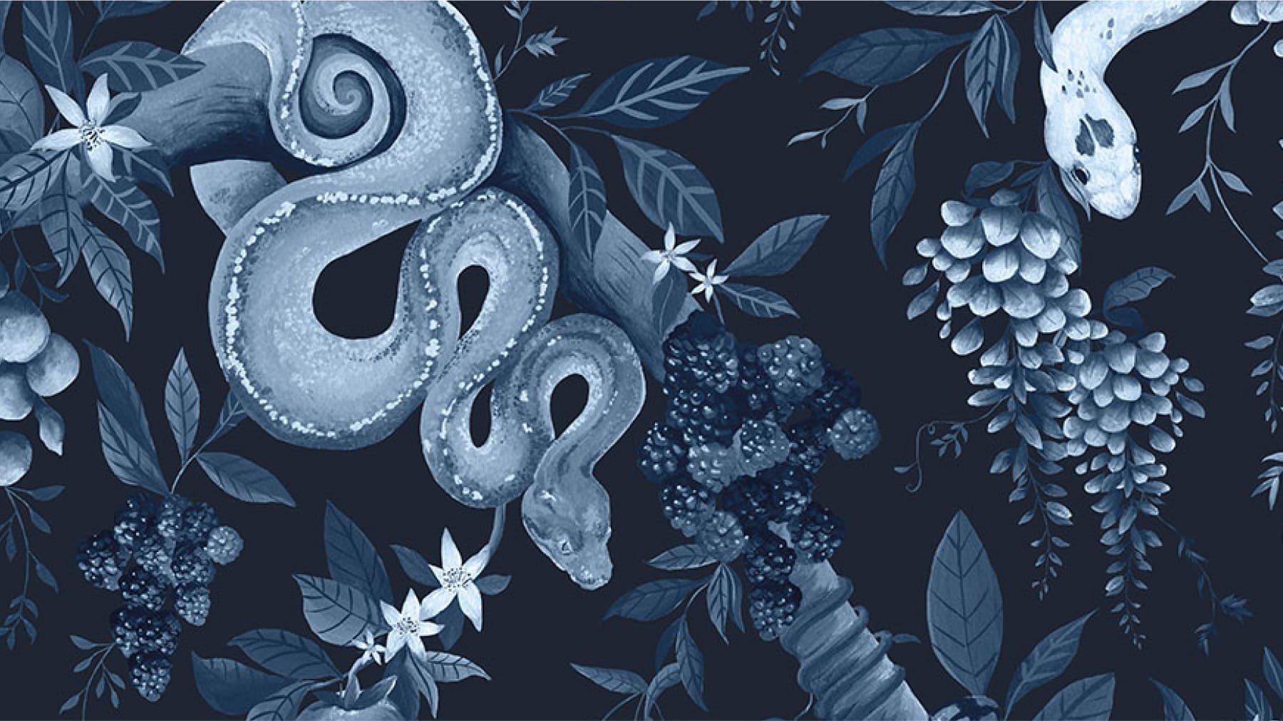 Snake Charmer Lookbook - Sneak Peek
