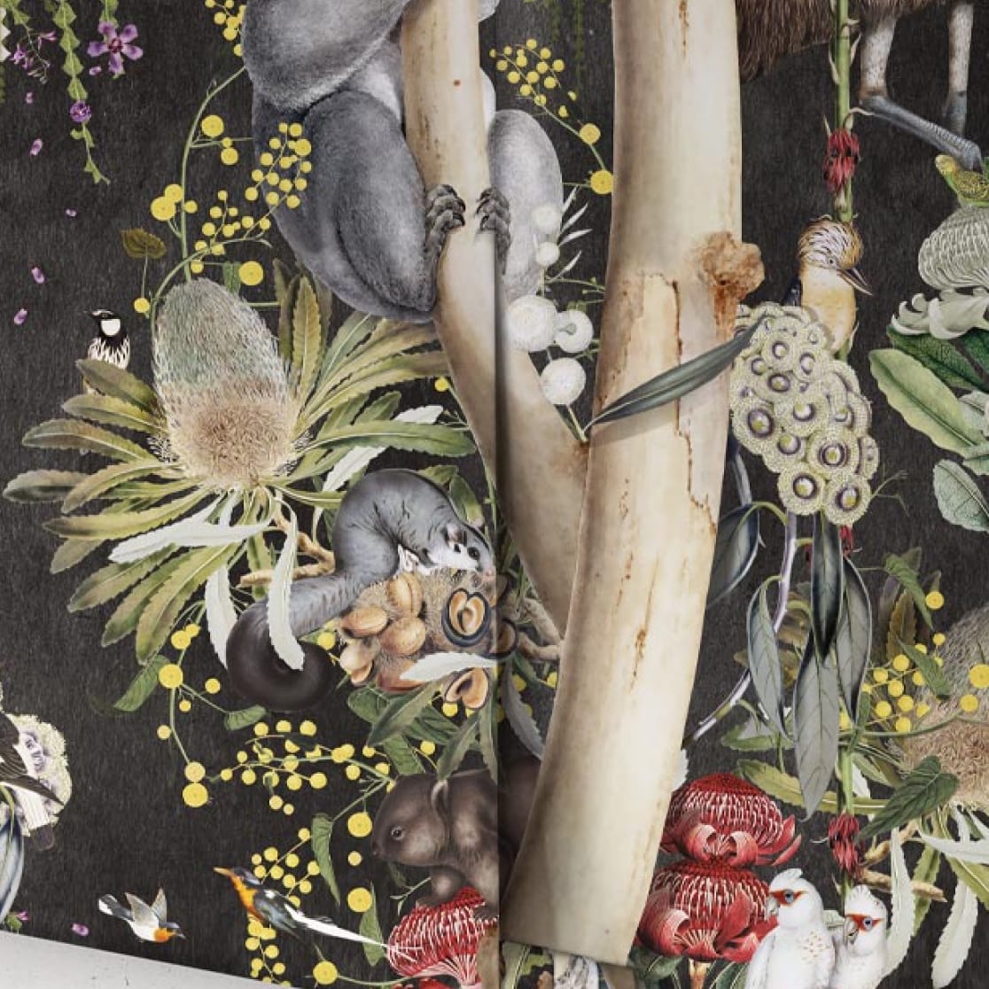 Kingdom Home • Australia II Collection • Native Bush Wallpaper