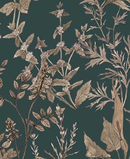 Wallpaper Republic - Floral Emporium Collection - Lookbook - Wallpaper Image - Antique Botanica - Green