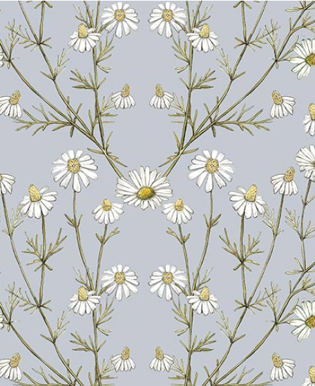 Wallpaper Republic - Floral Emporium Collection - Lookbook - Wallpaper Image - Daisy Damask -Dusty Blue