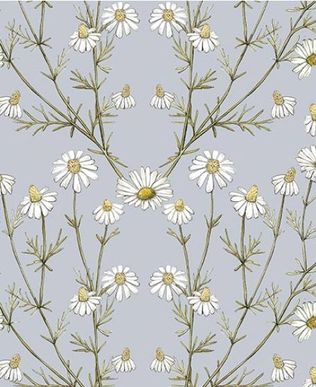 Wallpaper Republic - Floral Emporium Collection - Lookbook - Wallpaper Image - Daisy Damask -Dusty Blue