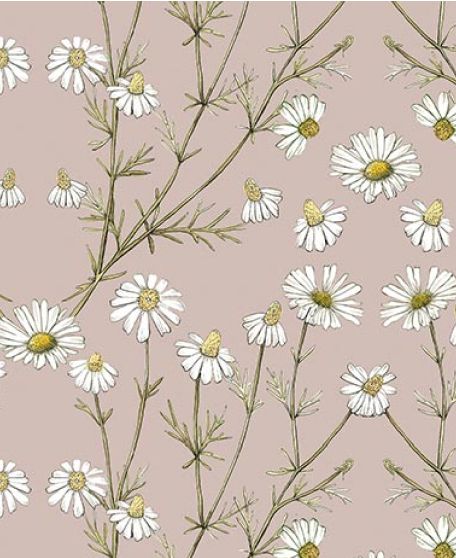 Wallpaper Republic - Floral Emporium Collection - Lookbook - Wallpaper Image - Daisy Damask -Dusty Pink