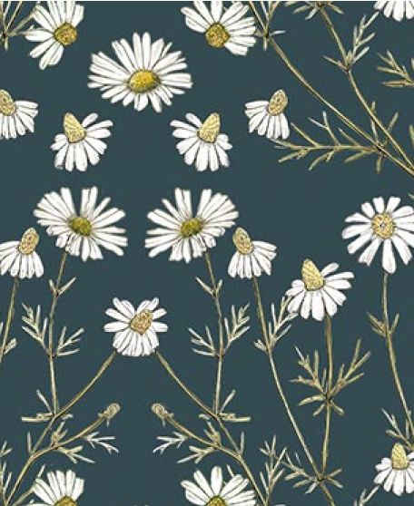 Wallpaper Republic - Floral Emporium Collection - Lookbook - Wallpaper Image - Daisy Damask -Emerald