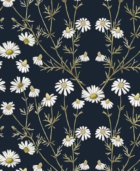Wallpaper Republic - Floral Emporium Collection - Lookbook - Wallpaper Image - Daisy Damask - Navy