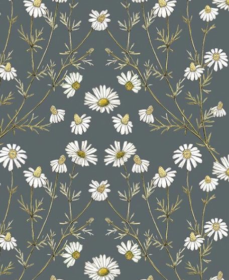 Wallpaper Republic - Floral Emporium Collection - Lookbook - Wallpaper Image - Daisy Damask -Slate Grey