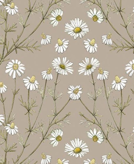 Wallpaper Republic - Floral Emporium Collection - Lookbook - Wallpaper Image - Daisy Damask -Linen