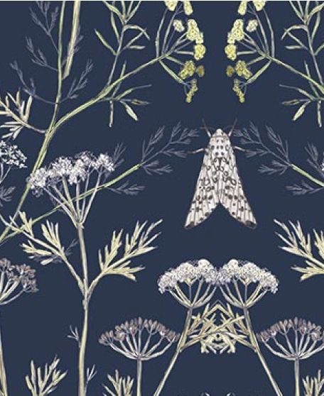Wallpaper Republic - Floral Emporium Collection - Lookbook - Wallpaper Image - Queen Anne's Lace - Sapphire