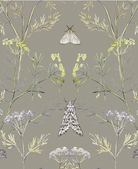 Wallpaper Republic - Floral Emporium Collection - Lookbook - Wallpaper Image - Queen Anne's Lace - Sage Grey