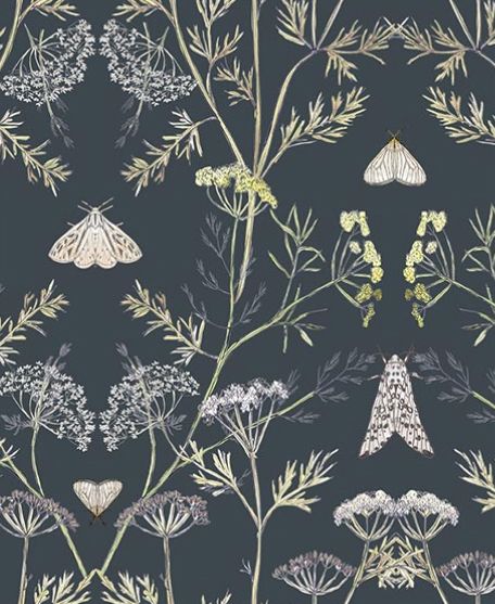Wallpaper Republic - Floral Emporium Collection - Lookbook - Wallpaper Image - Queen Anne's Lace - Charcoal