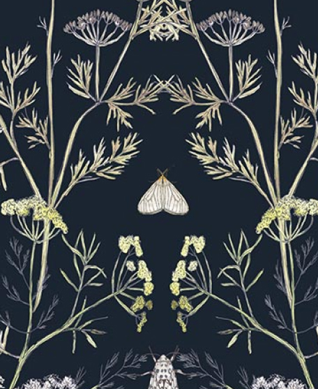 Wallpaper Republic - Floral Emporium Collection - Lookbook - Wallpaper Image - Queen Anne's Lace - Navy