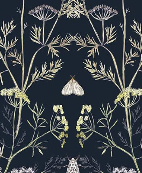 Wallpaper Republic - Floral Emporium Collection - Lookbook - Wallpaper Image - Queen Anne's Lace - Navy