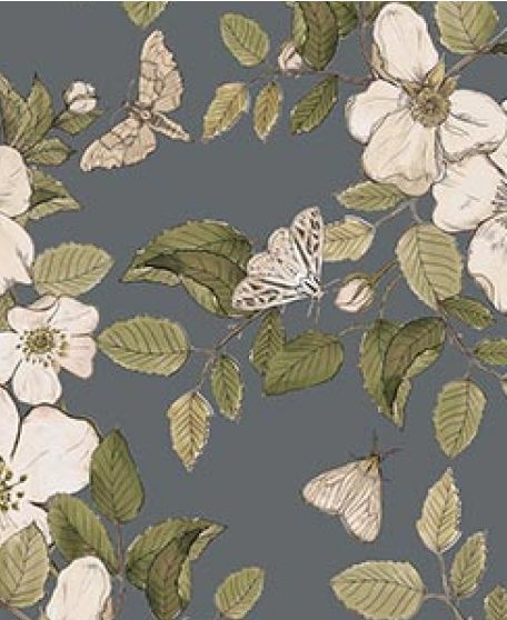 Wallpaper Republic - Floral Emporium Collection - Lookbook - Wallpaper Image - Sweet Briar - Slate Grey