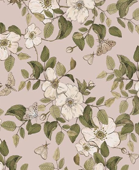 Wallpaper Republic - Floral Emporium Collection - Lookbook - Wallpaper Image - Sweet Briar - Dusty Pink