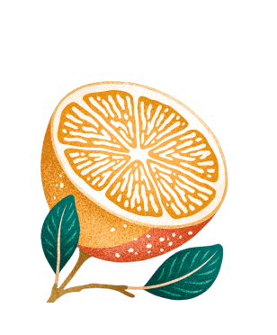 Lemons and Magnolia - Elements 2