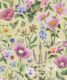 Garden of Dreams Wallpaper - Fleur Harris - Enchanted Gardens Collection - Colorway: Summer Green - Swatch