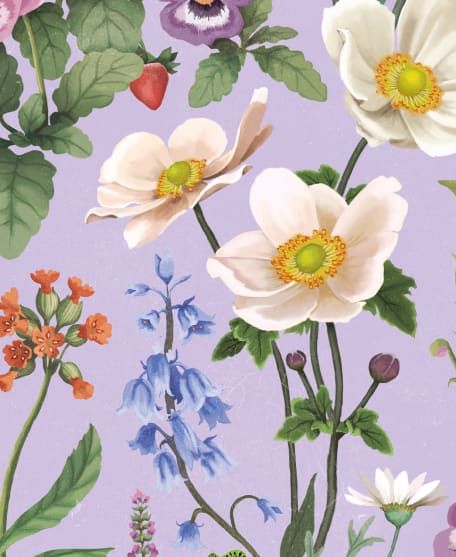 Garden of Dreams Wallpaper - Enchanted Gardens Collection by Fleur Harris - Lookbook - Colourway: Lilac