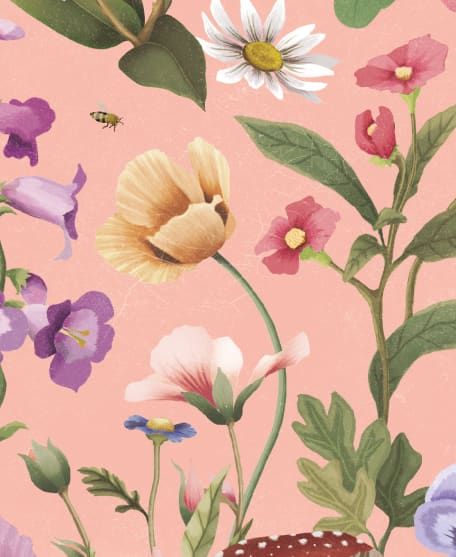 Garden of Dreams Wallpaper - Enchanted Gardens Collection by Fleur Harris - Lookbook - Colourway: Perfect Peach