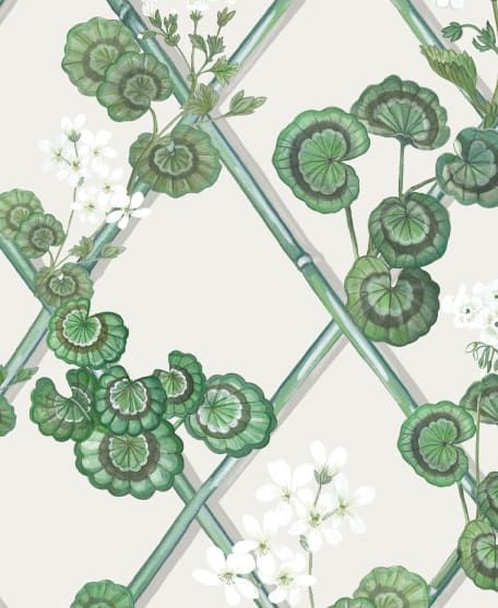 Primrose Garden Wallpaper - Maine House Interiors - Colorway: Green