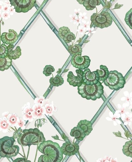 Primrose Garden Wallpaper - Maine House Interiors - Colorway: Pink