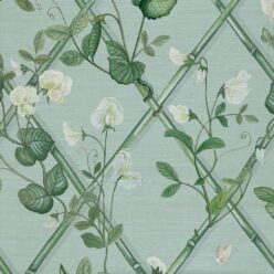 GRASS-MHI004-LP-GrandeClimbingSweetPea-LightProvence-1