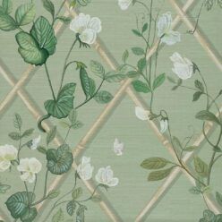 GRASS-MHI004-SC-GrandeClimbingSweetPea-SageCane-1