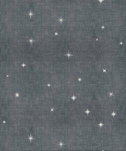 Southern Skies Grasscloth Wallpaper - Colourway: Dark Blue - Pattern Play Collection