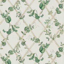 Irish Linen and Cane