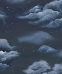Heavenly Decorative Textile Wallpaper - Colorway: Night - Woven Light Collection - Decorative Textile Wallcoverings
