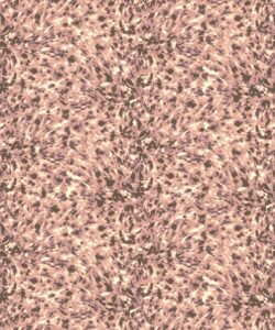 Lonesome George Wallpaper - Colorway: Blossom - Poodle & Blonde Collection - Swatch