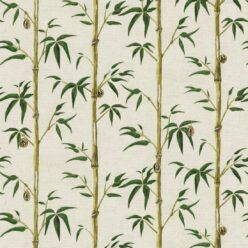 Bamboo