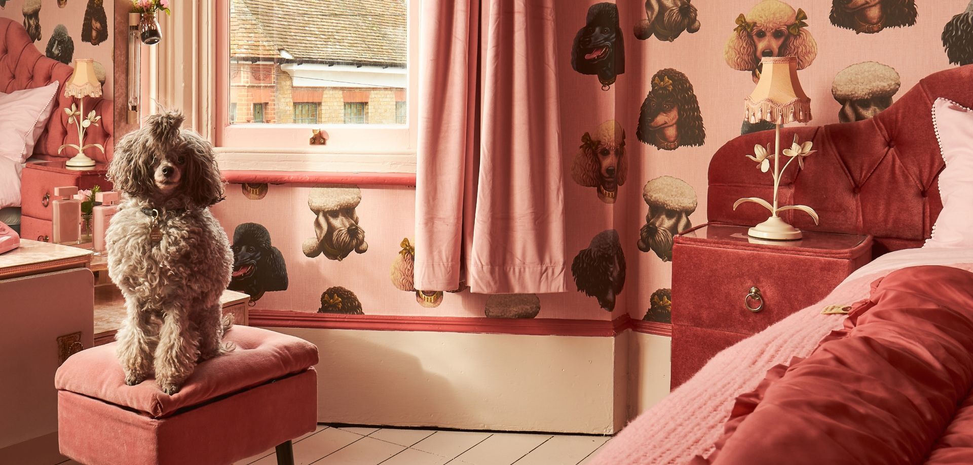 Poodle & Blonde Wallpaper Collection
