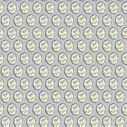 Periwinkle