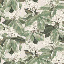 Sage
